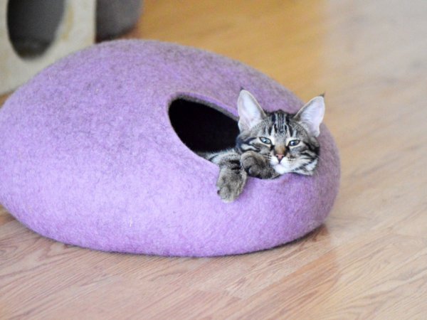 Cat bed - PURPLE 2