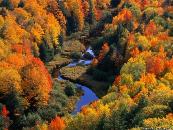 Veltas šalikas ,,RUDENS AKVARELĖ ,, 3
