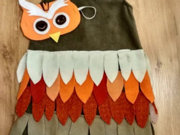 Pelėdos, paukščio karnavalinis kostiumas mergaitei * 3