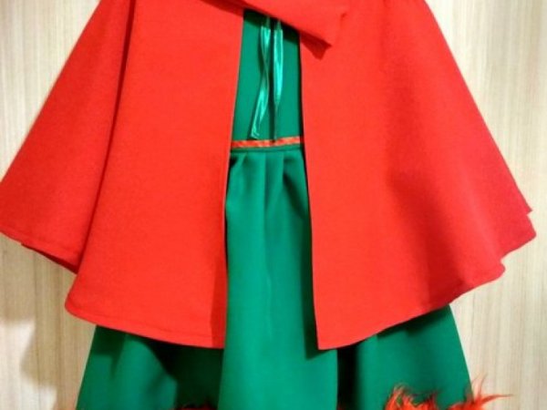 Gnome carnival costume for a girls 2