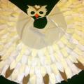 White owl carnival costume - Other clothing - sewing