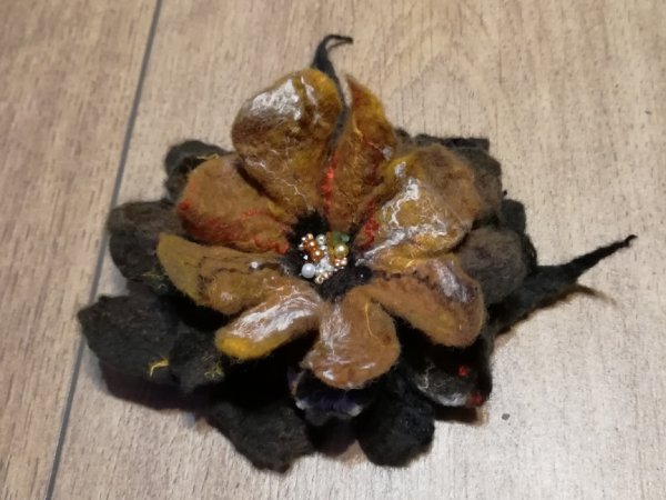 Velta sagė rudoji - Brooches