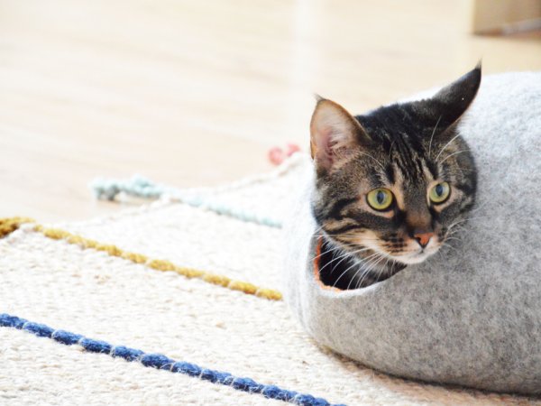 Two color cat bed BUBBLE 2