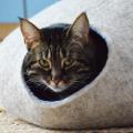 Two color cat bed DOUBLE - For pets - felting