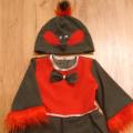 Bullfinch bird Carnival Costume for Girl - Other clothing - sewing