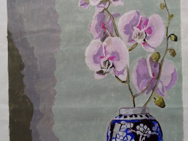 Orchid  - Pictures