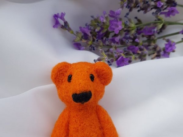 Oranžinis meškis - Accessories