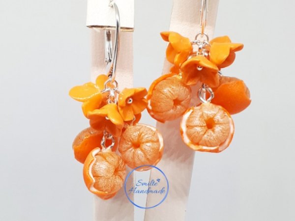 Auskarai mandarinai - Earrings
