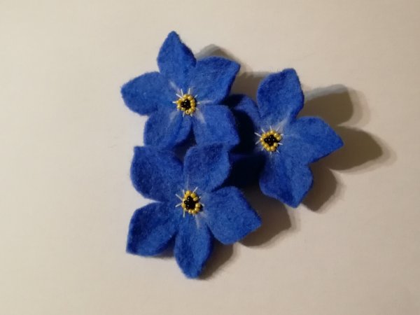 Veltas neužmirštuolės žiedelis - Flowers