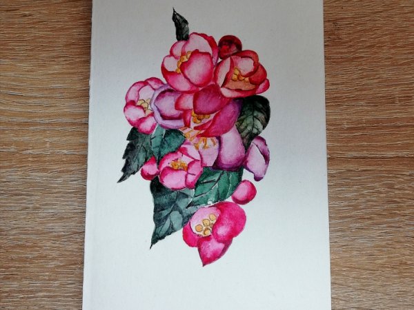Obelų žiedai - Postcard