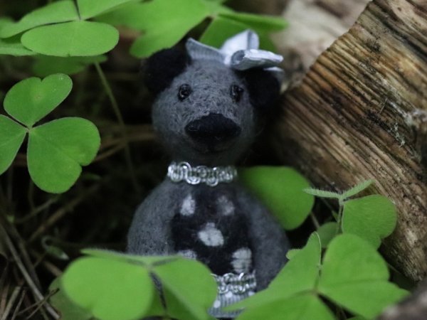 Sagė iš vilnos princesė Lulu 3