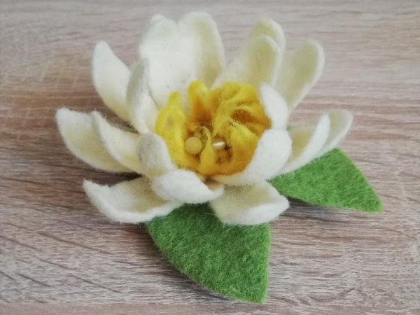 Balta vandens lelija - Flowers