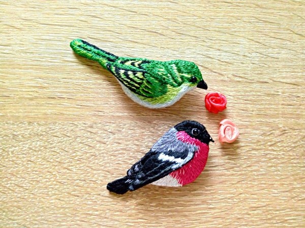 Sagė Paukštis - Brooches
