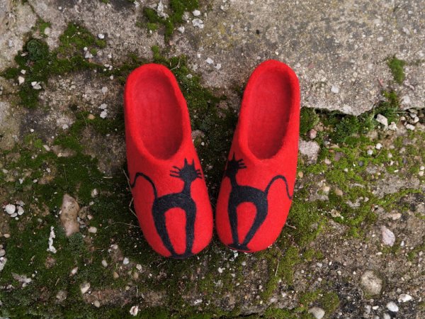 Katinų mylėtojai - Shoes & slippers
