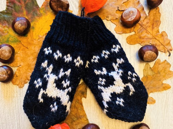 GP-1104 Vaikiškos pirštinytės - Gloves & mittens