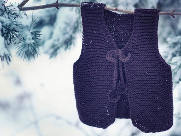 Paprastos liemenės 2