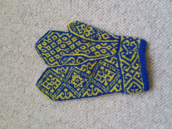 Mėlyna-geltona - Gloves & mittens