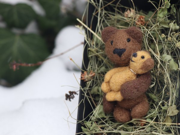 Sagė iš vilnos "Mylintis meškis" - Brooches