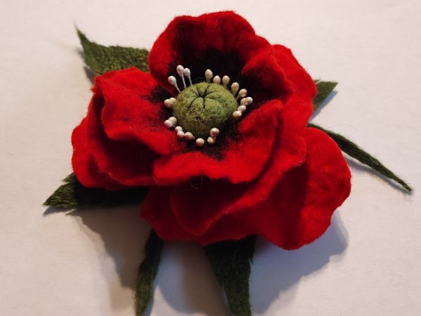 Velta sagė aguona - Flowers