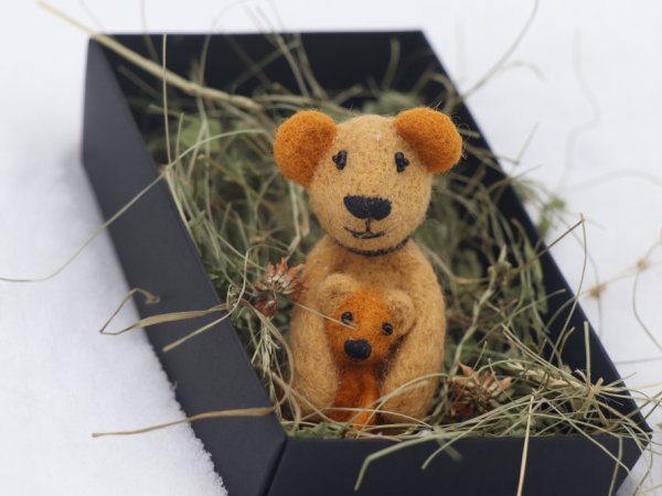 Sagė iš vilnos "Išdykęs"" - Brooches