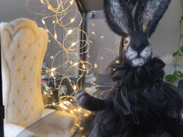 Souvenir Black Rabbit symbol of 2023, in vain by dry method.consists of: rabbit, chair, light bulbs, metal lantern.the rabbit is dressed in tulle   3