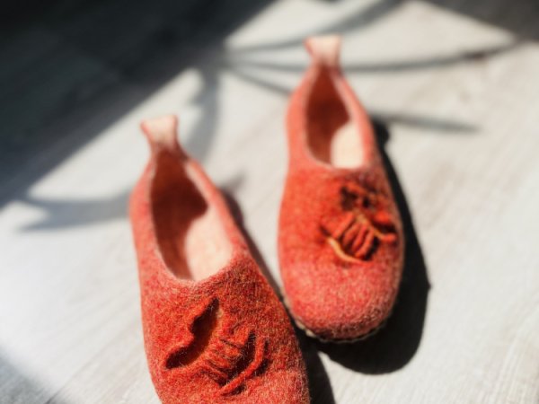 Šlepetės morka - Shoes & slippers