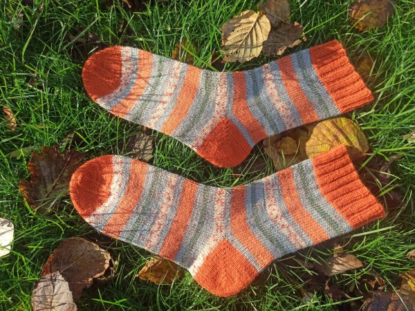 Rudens spalvų kojinės - Socks