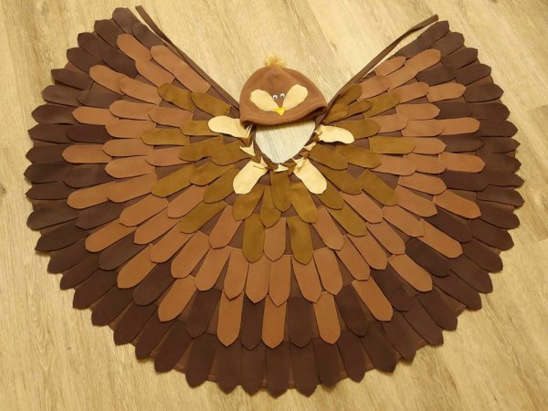 Sparrow, bird carnival costume 2
