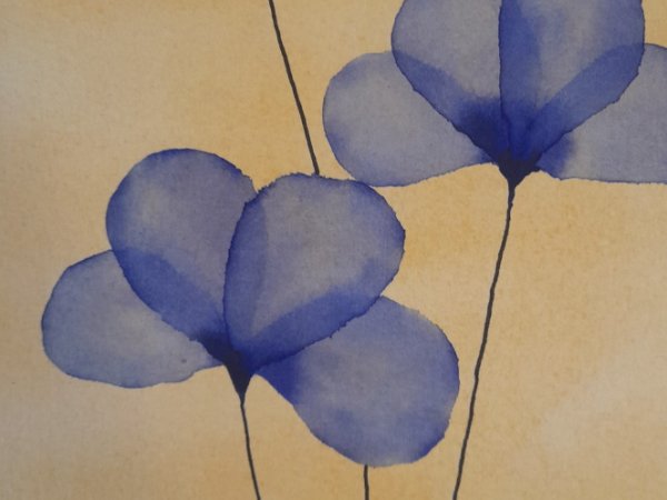 Atvirutė 10 - Watercolor