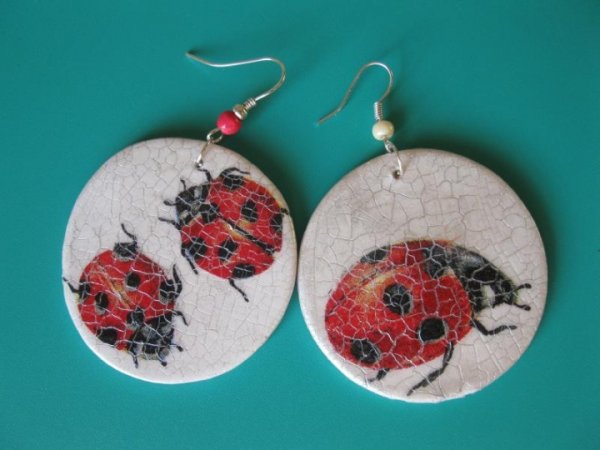 Auskarai_Boružėlės - Earrings