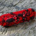 Red luxury - Hair accessories - felting