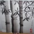 Bamboo - Pictures - drawing
