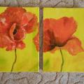 Two Poppies - Oil painting - drawing