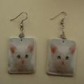 " Kittens " - Earrings - beadwork