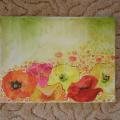Poppies - Oil painting - drawing