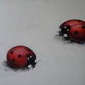 Ladybirds. Oil painting - Oil painting - drawing