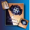 SILVER brilliance - Kits - beadwork