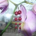 Ilgutis - Earrings - beadwork