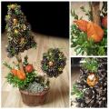 Christmas tree cones - Floristics - making