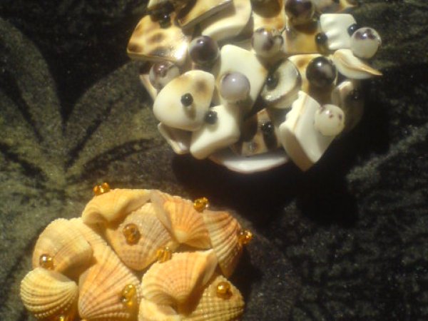 kriauklytės - Brooches