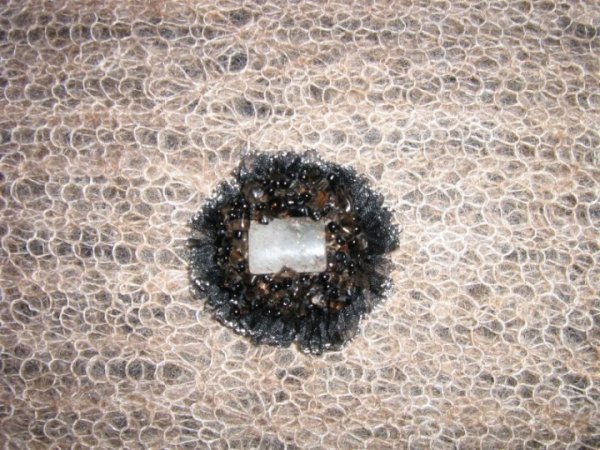 sege - Brooches