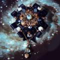 Black sage - Brooches - beadwork