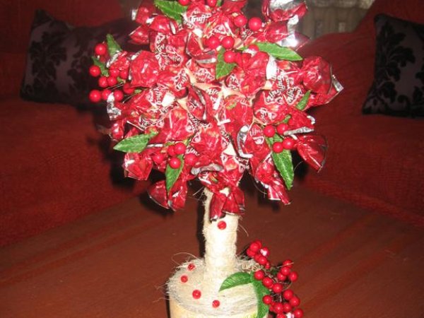 candy tree - Floristics