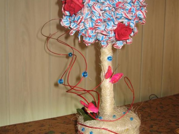 candy tree - Floristics