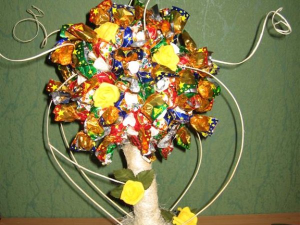 candy tree - Floristics