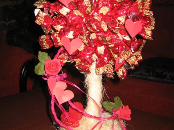 candy tree - Floristics