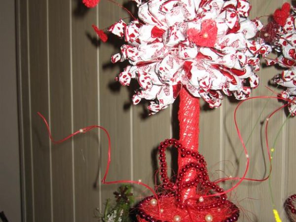candy tree - Floristics