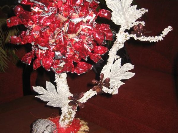 candy tree - Floristics