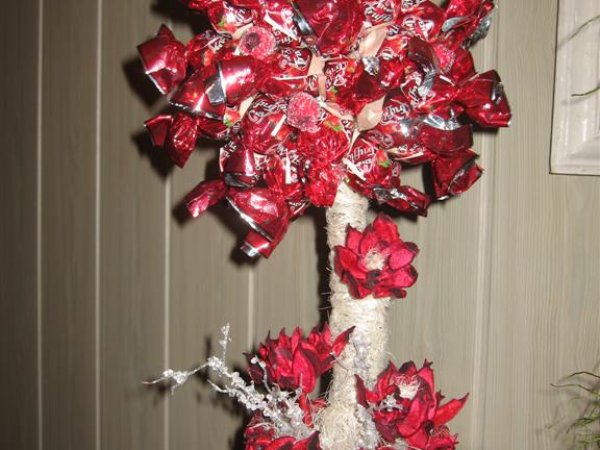 candy tree - Floristics