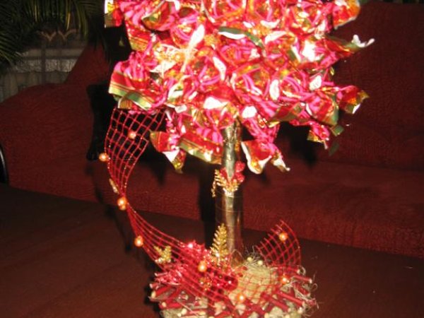 candy tree - Floristics